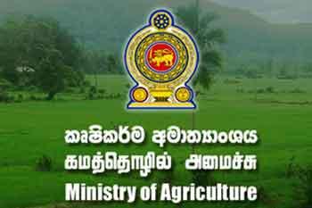 දේශපාලන බලපෑම් ගැන රාජ්‍ය නිලධාරීන් කණ්ඩායමක් කළකිරීමෙන්
