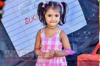 රිය අනතුරකින් 3 හැවිරිදි දැරියකට දිවි අහිමි වෙයි