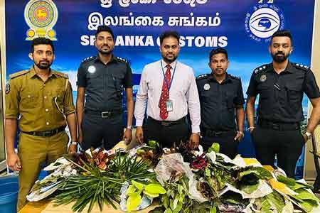 නීතිවිරෝධීව රැගෙන ආ විසිතුරු පැළ තොගයක් සමග සැකකරුවෙකු අත්අඩංගුවට