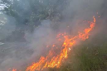 කාසල්රි ජලාශයේ ලොකුම දූපතේ ගින්නක්
