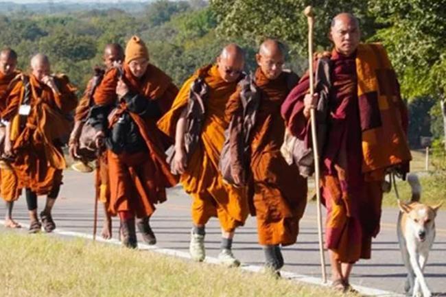 සාම පාගමනේ ගමන් මග