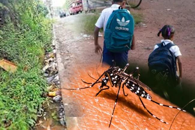 මේ වසරේ ගතවූ කාලය තුළ ඩෙංගු මරණ 12ක් - ළමුන් දෙදෙනෙකුත් ඒ අතර