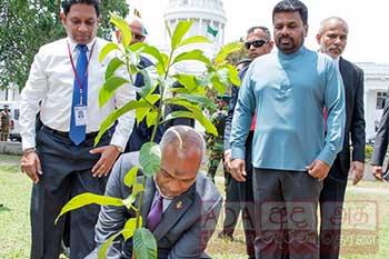 මාලදිවයින් ජනාධිපතිගෙන් රටට පැළයක්...