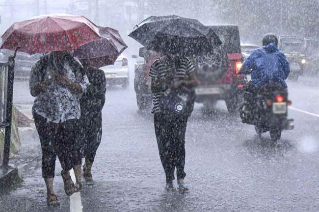 මි. මී 117.9ක වැඩිම වැස්ස වරකාපොළින්