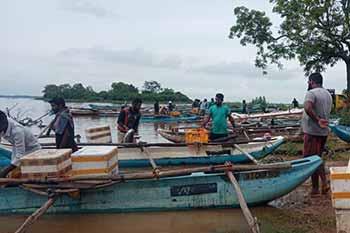 උඩවලව ජලාශයෙන් රුපියල් කෝටියකට අධික මිරිදිය මත්ස්‍ය අස්වැන්නක්