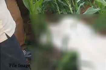 වන අලි පහරදීමකින් පියෙකු සහ දියණියක මරුට