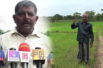 විසඳුම් නොදුන්නොත් කොළඹට එන බවට ගොවීන්ගෙන් අනතුරු ඇඟවීමක්
