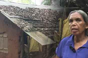 දිට්වා වන්දි මුදල් ගෙවීමේදී වංචා රැසක් - වන්දි ලබා දීමට කොමිස් මුදලකුත් අරන්