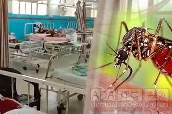 ඩෙංගු රෝගීන්ගේ ශීඝ්‍ර වැඩිවීමක් - මරණ 15ක්
