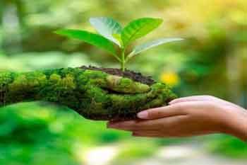 අනුරාධපුරයේ වනාන්තර 5ක් රක්ෂිත ලෙස නම් කෙරේ