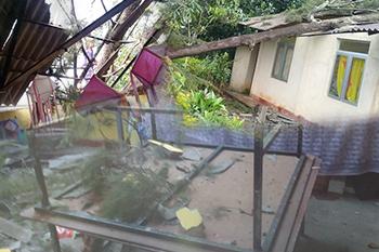 පෙරපාසලක් මතට ගසක් කඩා වැටේ