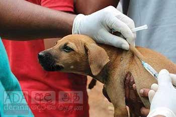 ජලභිතිකා මර්දනයට වසරකට රුපියල් බිලියන 5ක් වැය කෙරේ