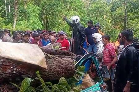 ත්‍රීරෝද රථයක් මතට ගසක් කඩා වැටී පාසල් සිසුවෙකු ඇතුළු තිදෙනෙකුට දිවි අහිමි වෙයි