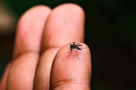 දිස්ත්‍රික්ක 14ක ඩෙංගු රෝගය සීඝ්‍රයෙන් ඉහළට