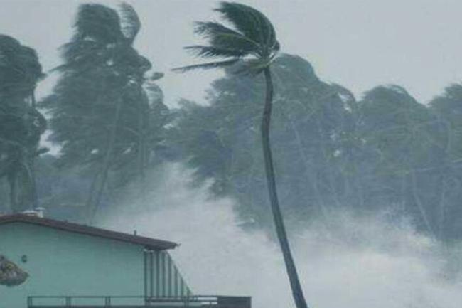තද සුළං පිළිබඳ අවවාදාත්මක නිවේදනයක්