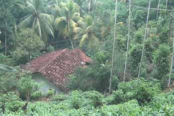 මාකදුර බස්නකන්ද නායයෑමේ අවදානමක් - පවුල් හයක් ඉවත් කරයි