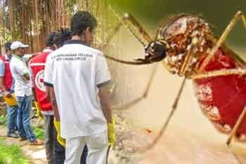 ඩෙංගු කීටයින් බෝවීම වැඩිම පාසල් පද්ධති ආශ්‍රිතව - ඇමති නලින්දගෙන් හෙළිදරව්වක්