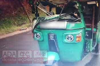 ත්‍රිරෝද රථයක් මතට ගසක් කඩා වැටෙයි