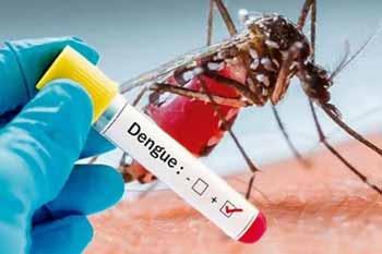 මෙරට ඩෙංගු රෝගීන් 46,000 සීමාව පනී
