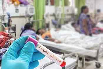 ගත වූ පැය 24 තුළ ඩෙංගු රෝගීන් 1069ක්