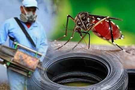 ඩෙංගු මරණ 30ක් දක්වා ඉහළට