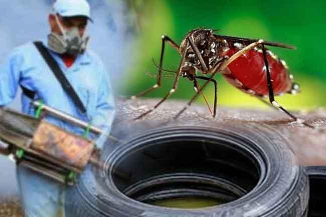 ඩෙංගු මෙහෙයුම් මැදිරියක් ස්ථාපිත කෙරේ - විශේෂ දුරකතන අංකයකුත් හඳුන්වා දෙයි
