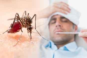 ඩෙංගු අධි වසංගත තත්ත්වය තවදුරටත්