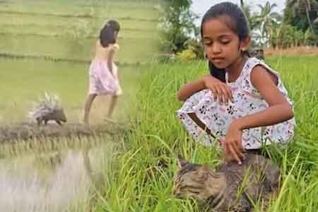 ලොවේ ආදරය දිනූ ශ්‍රේතා සහ ඇගේ ඉත්තෑ මිතුරා