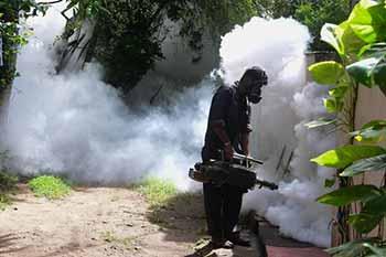 අධි අවදානම් කලාප 23ක විශේෂ ඩෙංගු මර්දන මෙහෙයුමක් අද සිට
