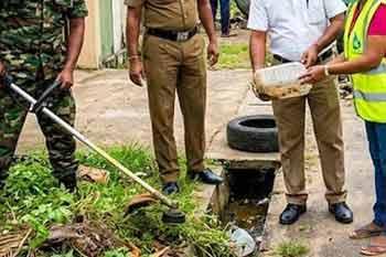 ඩෙංගු මරණ 42ක් දක්වා ඉහළට - රෝගීන් 64,000 ළංවෙයි