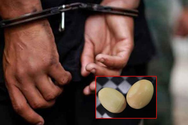 ගජමුතු 2ක් සමඟ සැකකරුවන් තිදෙනෙකු කොටු වෙයි