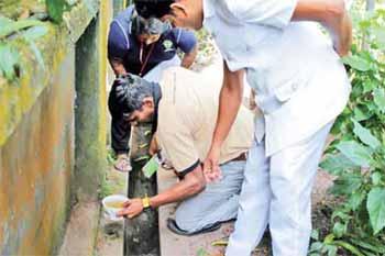 බස්නාහිර පළාතේ ඩෙංගු රෝගීන් 35,000ට ආසන්න වෙයි