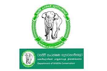 වනජීවි නිලධාරීන් සේවයෙන් ඉවත්වී අසනීප නිවාඩු වාර්තා කරයි