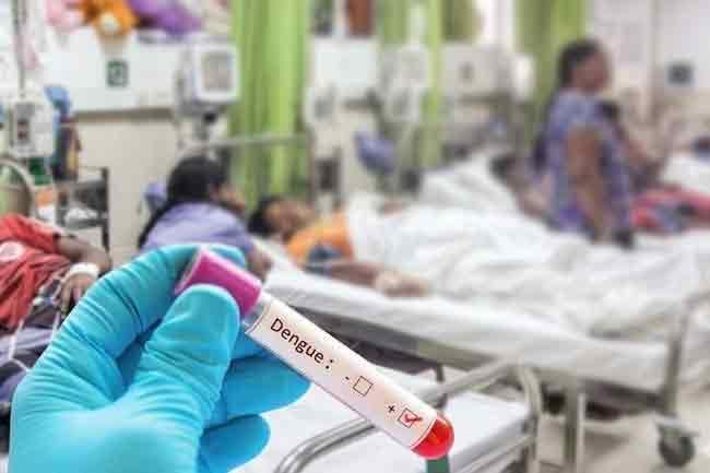 ඩෙංගු මරණ 49යි - සමස්ත රෝගීන් 71,000 ඉක්මවයි