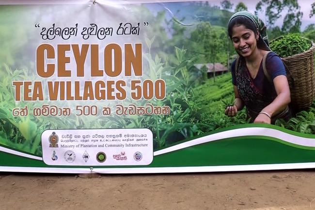 ජාතික තේ ඉලක්කය වෙනුවෙන් 'Ceylon Tea Village' ජාතික වැඩසටහන ඇරඹේ