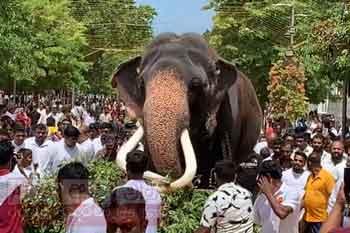 අතුපන්දලම චාරිත්‍රය එක්වූ වාසනා මඟුලැතු