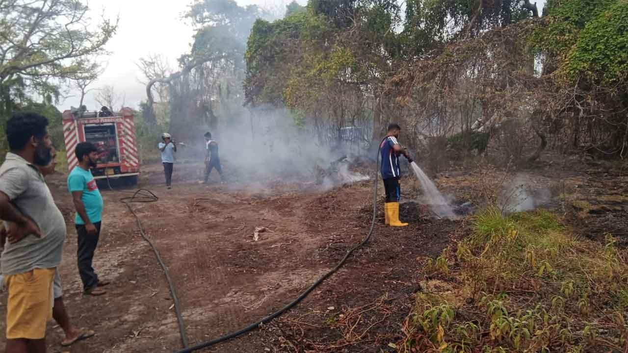ආනවිලුන්දාව තෙත්බිම් අභය භූමියේ ගින්න පාලනය කෙරේ