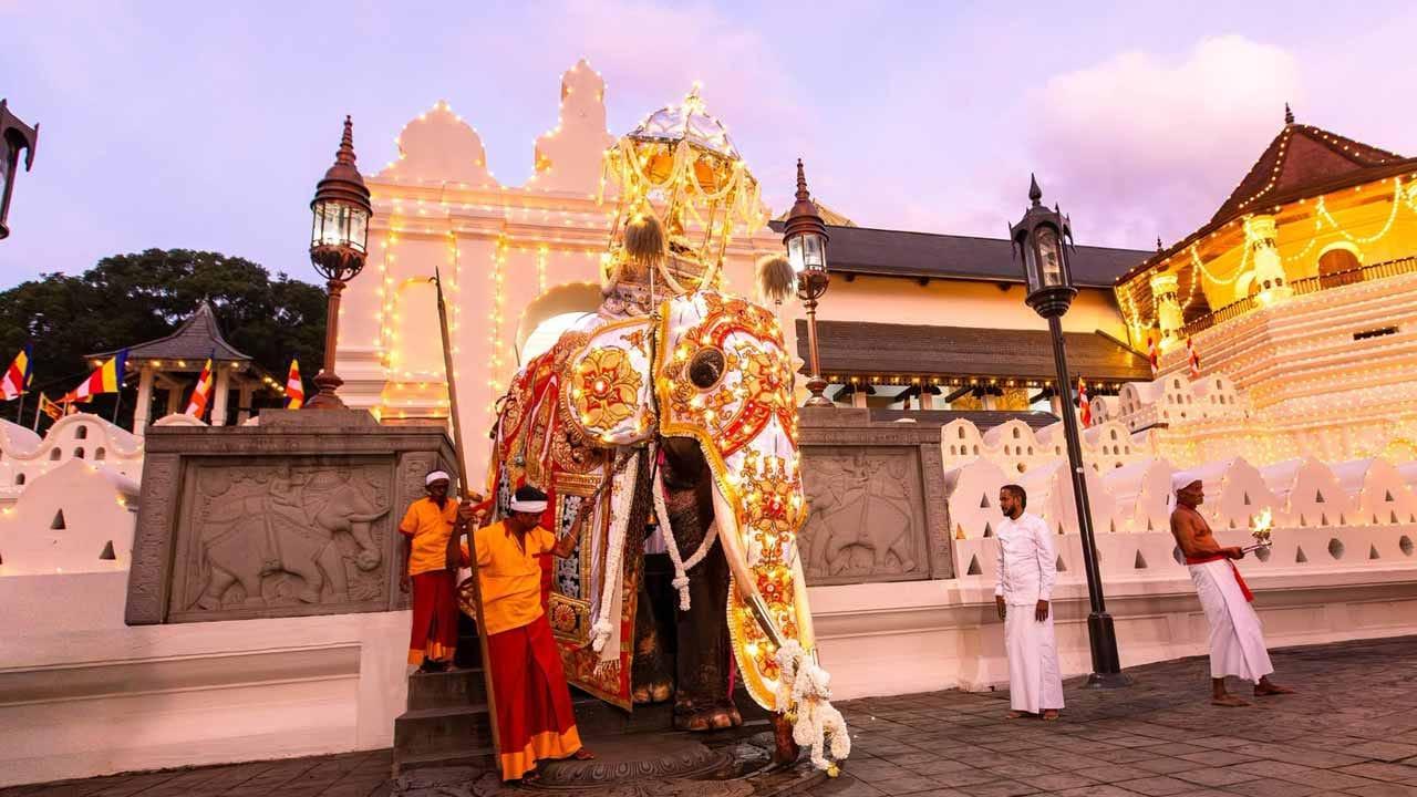 අවසන් කුඹල් පෙරහැර වීථි සංචාරය ආරම්භ කරයි