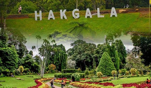 හක්ගල උද්භිද උද්‍යානය ආශ්‍රිතව නව සංවර්ධන ව්‍යාපෘති රැසක්