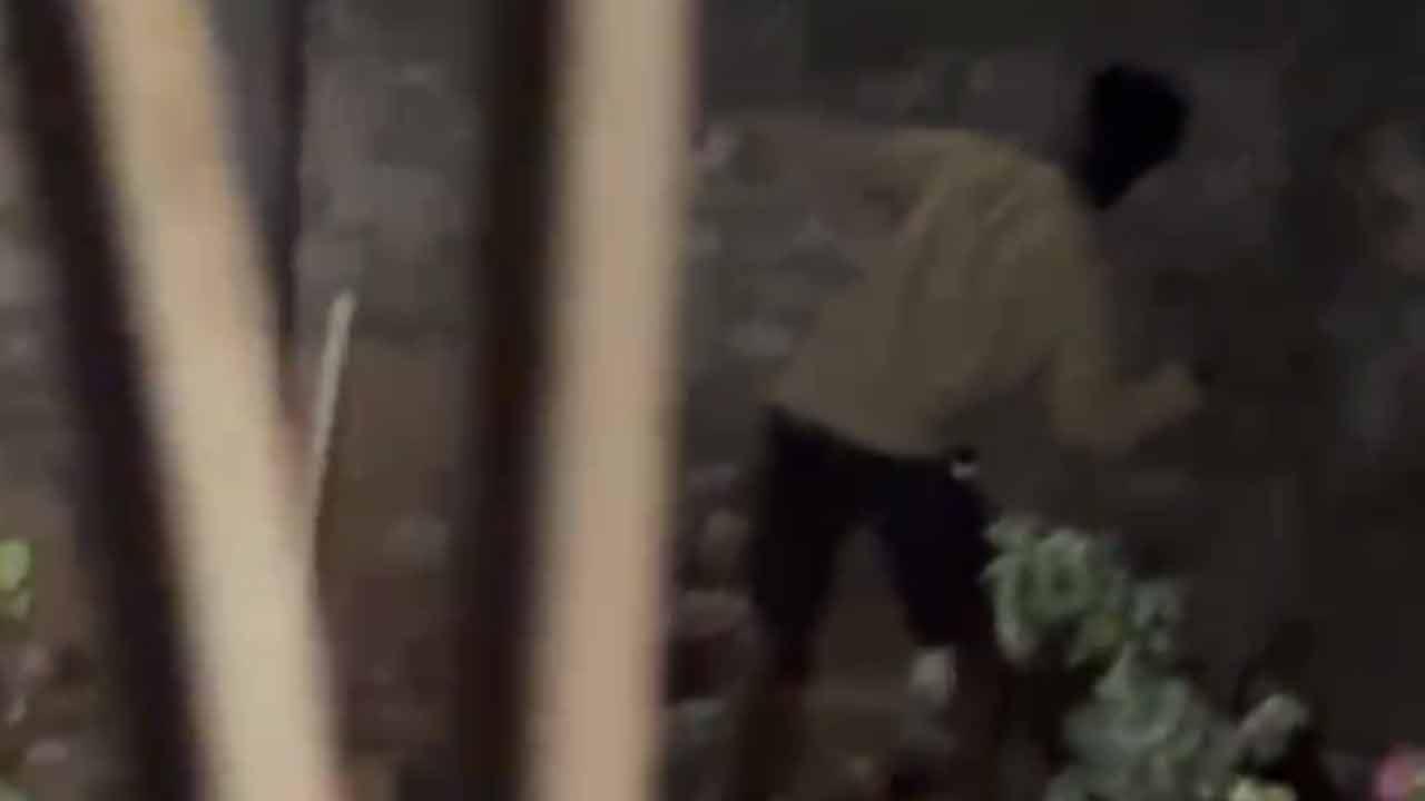 විශ්‍රාමික රාජ්‍ය නිලධාරියෙකුගේ නිවසේ CCTV කැමරා කැඩූ මාලිමාවේ ප්‍රා. සභා මන්ත්‍රී අත්අඩංගුවට