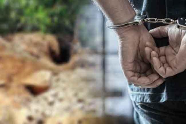 පුරාවස්තු සොයා කැණීම් කළ පස්දෙනෙකු අත්අඩංගුවට