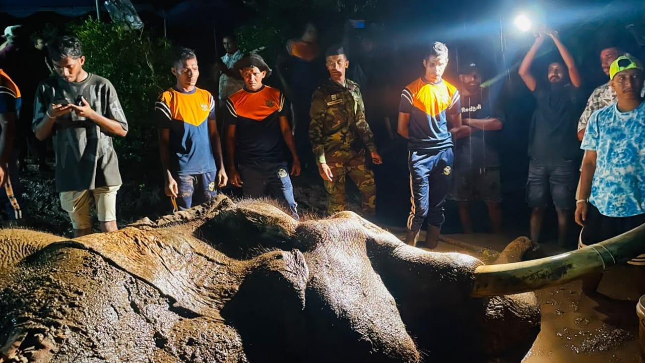 කාවන්තිස්ස ඇත් රජු මෙලොවින් සමුගනී 