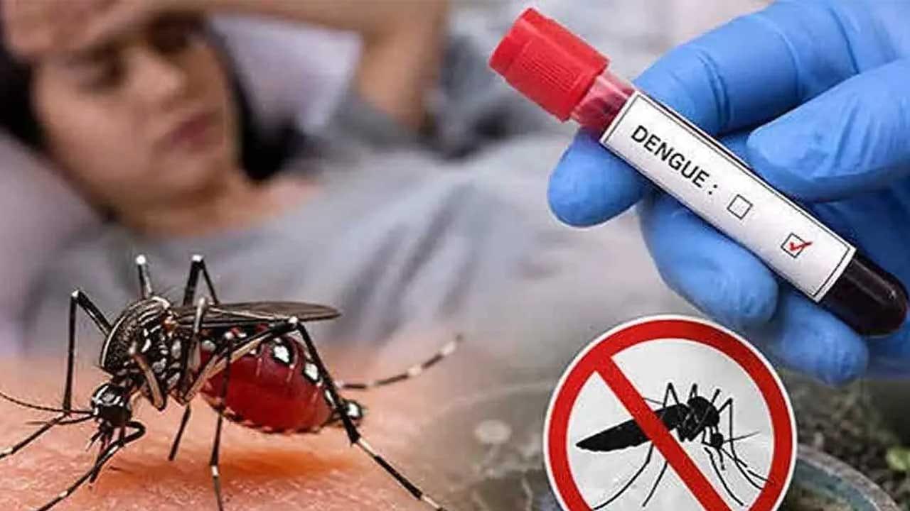 ඩෙංගු මරණ ගණන 79ක් දක්වා ඉහළට