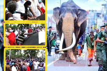 නැදුන්ගමුවේ රාජාගේ දේහය සංරක්ෂණයට කෞතුකාගාරයට භාරදෙයි