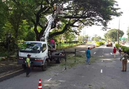 නෙළුම් පොකුණ අසලින් පාර වැසේ