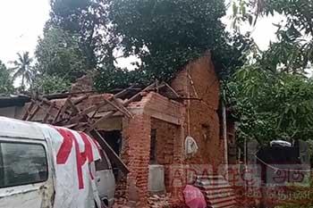 කොස් ගසක් කඩා වැටී දරුවෙක් ඇතුළු සිව්දෙනෙකුට තුවාල
