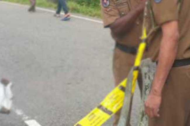 මරණයකින් කෙළවර වු ශ්රමදානය