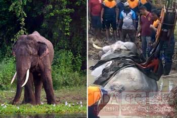 රටම හඬවමින් භාතිය අවසන් හුස්ම හෙළයි