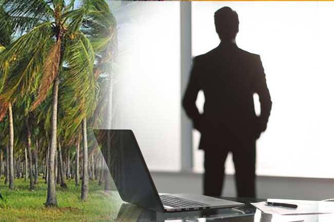 පුනරුදය ආයුධයක් කරගත් පොල් ලොක්කා.....!