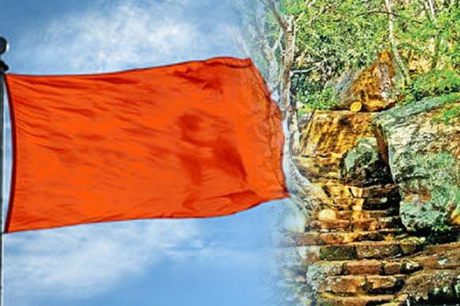 කොටියෙකුගේ ප්රහාරයට ලක්වූ විදේශීය හිමිනමක් අපවත් වෙති
